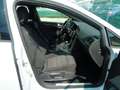 Volkswagen Golf R 2.0 TSI DSG 4MOTION 5p. BMT Bianco - thumbnail 8