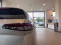 Skoda Superb wagon 2.0 tdi selection 150cv dsg Grigio - thumbnail 21