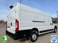 Opel Movano L4H2 2.2BlueHDi 165CV Grau - thumbnail 48