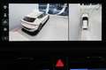 Kia EV6 PE 84-kWh AWD GT-line! WP + P4+5+6+7 Weiß - thumbnail 13