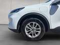 Ford Kuga 2.5 Duratec PHEV TITANIUM Weiß - thumbnail 17