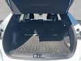 Ford Kuga 2.5 Duratec PHEV TITANIUM Weiß - thumbnail 5