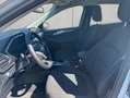 Ford Kuga 2.5 Duratec PHEV TITANIUM Weiß - thumbnail 8