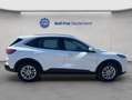 Ford Kuga 2.5 Duratec PHEV TITANIUM Weiß - thumbnail 6