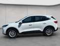 Ford Kuga 2.5 Duratec PHEV TITANIUM Weiß - thumbnail 2