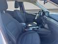Ford Kuga 2.5 Duratec PHEV TITANIUM Weiß - thumbnail 14