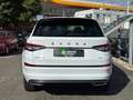 Skoda Kodiaq Sportline 2.0 TDI AHK LED KAMERA ACC Wit - thumbnail 6