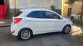 Ford Ka/Ka+ 1200 k+ ultimate Bianco - thumbnail 3