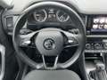 Skoda Kodiaq 2.0 TDI 4x4 DSG DRIVE LED+NAV+SHZ+RFK+AHK Schwarz - thumbnail 10