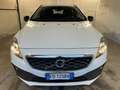 Volvo V40 Cross Country D2 Geartronic Kinetic Weiß - thumbnail 2