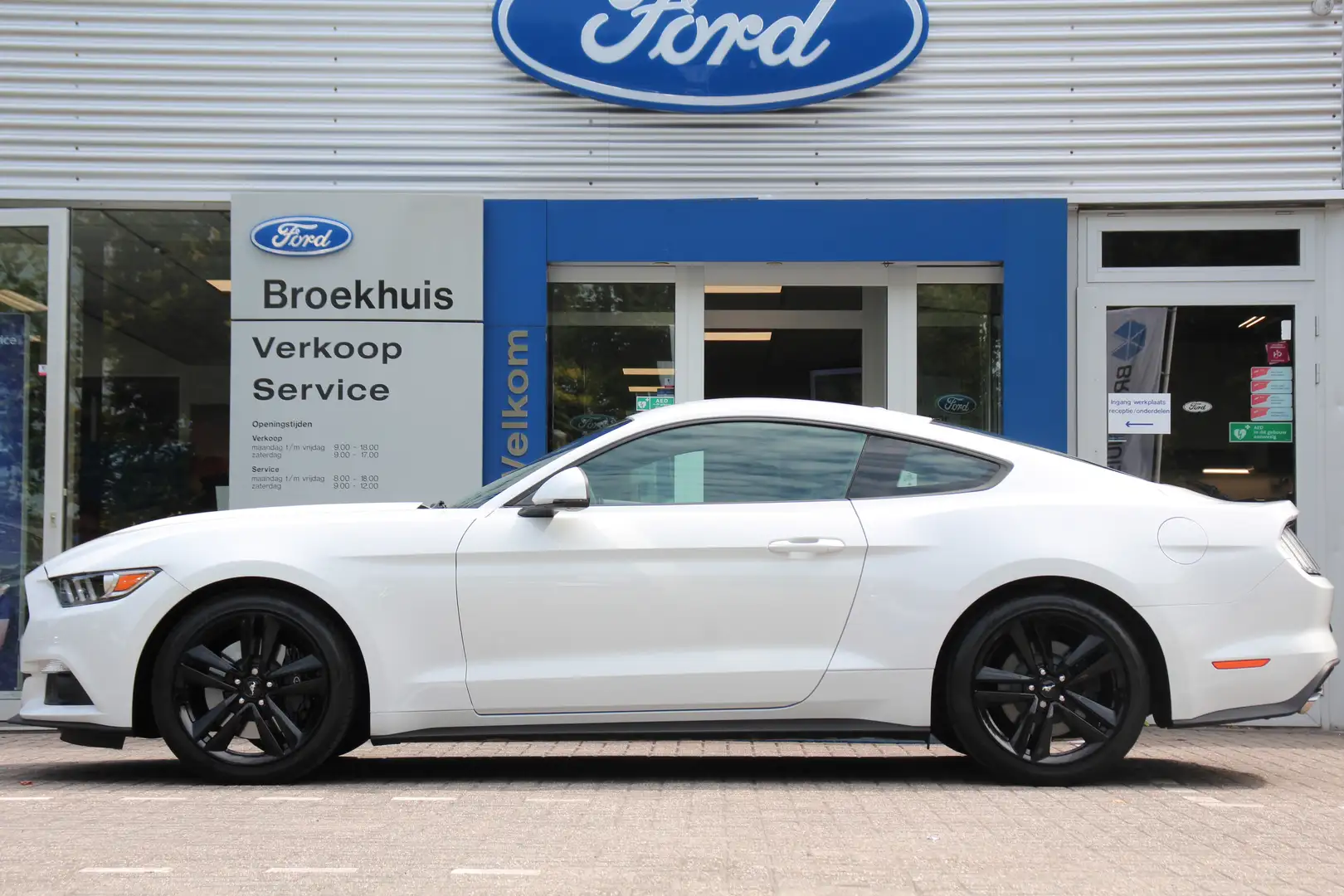 Ford Mustang Fastback 2.3EB | EU-MODEL! | DEALER OH! | LEDEREN Wit - 2