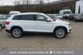Skoda Kodiaq Style 4x4 2.0TSI DSG NAVI AHK LED 7-Sitze Alb - thumbnail 1