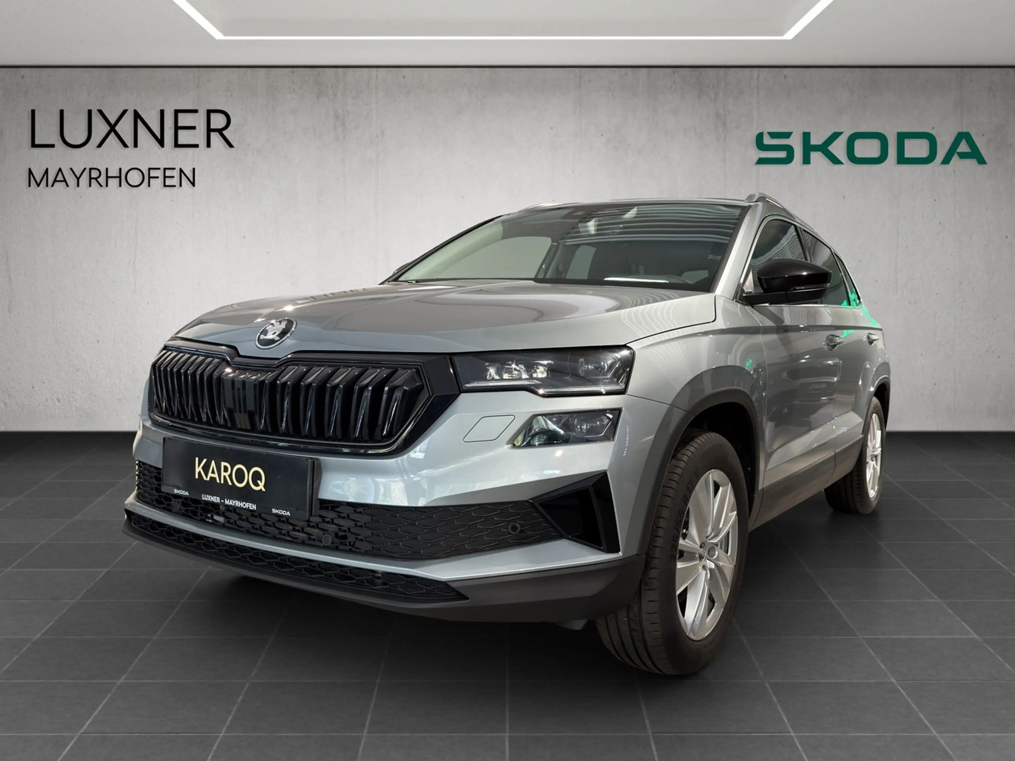 Skoda Karoq 4x4 Selection TDI DSG