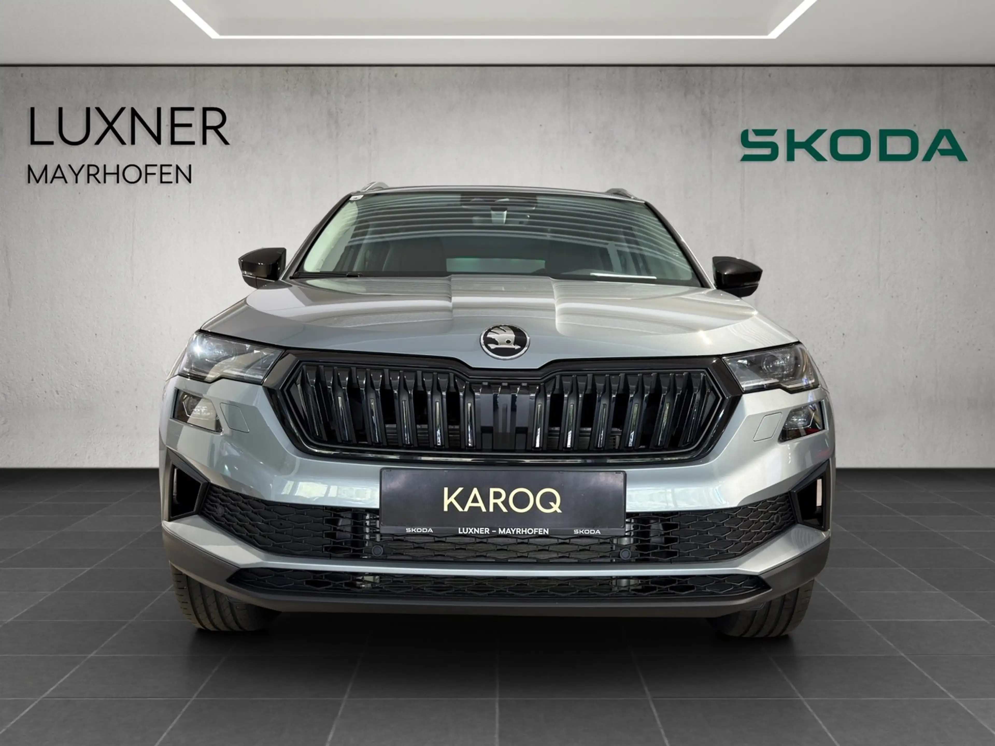 Skoda Karoq 4x4 Selection TDI DSG — photo 8