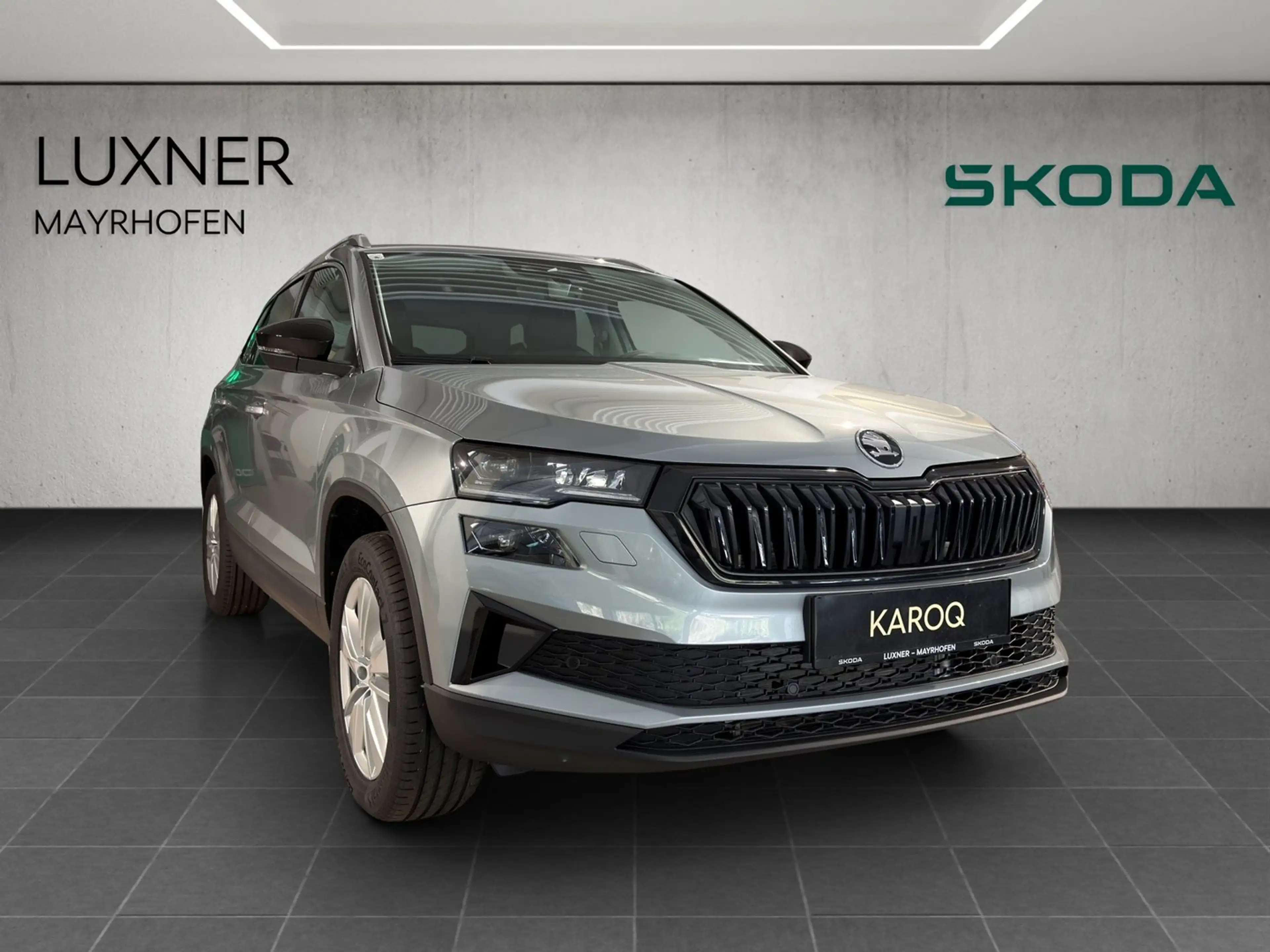 Skoda Karoq 4x4 Selection TDI DSG — photo 7