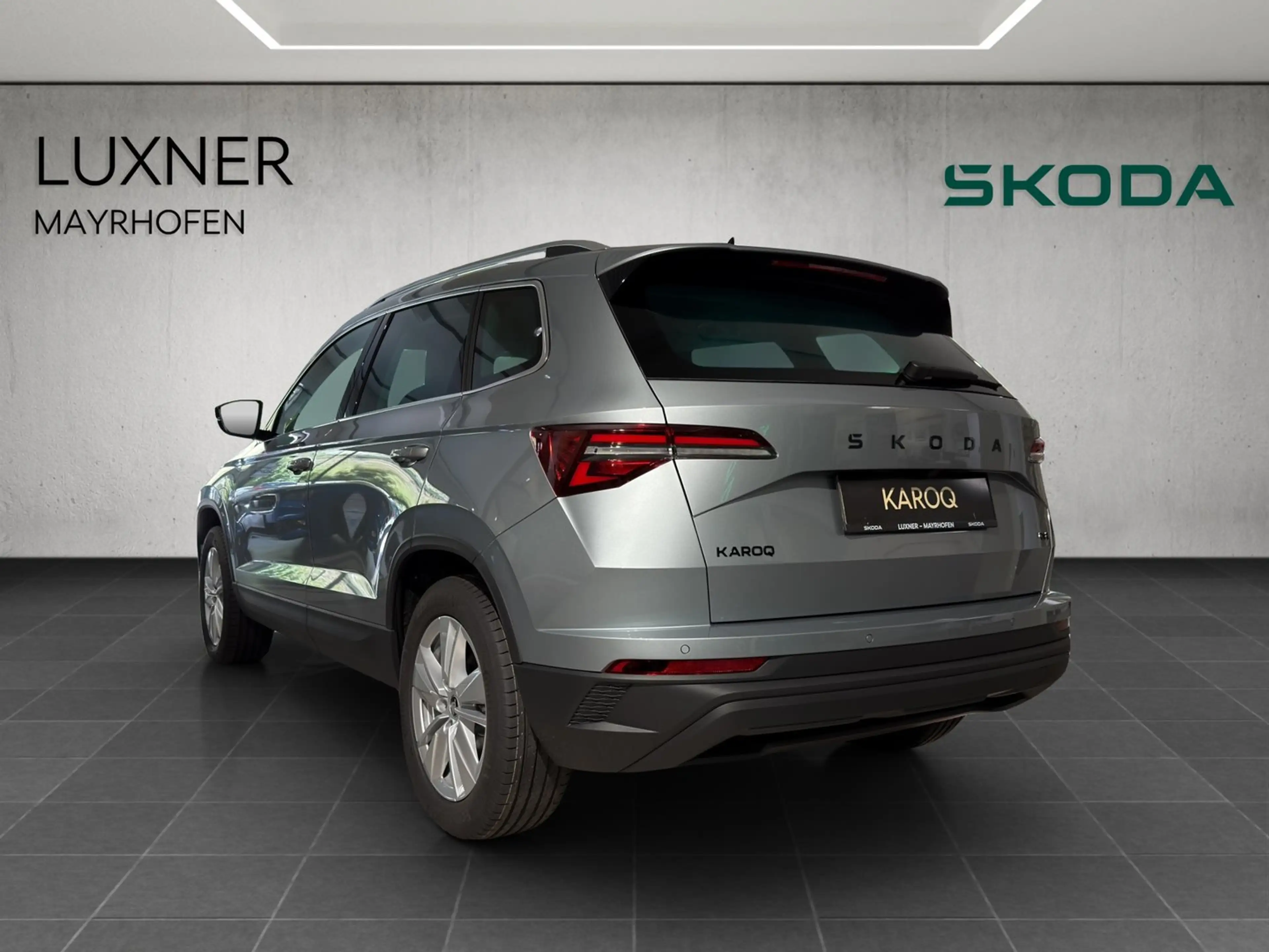 Skoda Karoq 4x4 Selection TDI DSG — photo 3