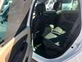 Renault Scenic Scenic 1.5 dci  110cv Blanc - thumbnail 13