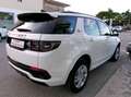Land Rover Discovery Sport Discovery Sport 2.0d td4 mhev R-Dynamic HSE awd Bianco - thumbnail 6