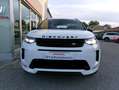 Land Rover Discovery Sport Discovery Sport 2.0d td4 mhev R-Dynamic HSE awd Wit - thumbnail 1