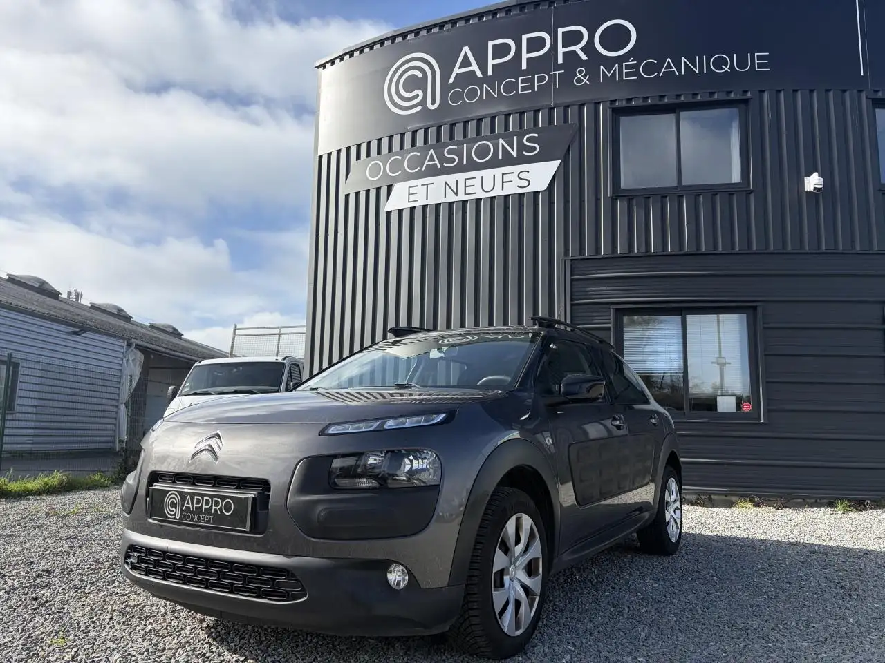 Citroen C4 Cactus 1.6 BlueHDi - 100  Feel Business