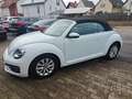 Volkswagen Beetle Design BMT,HU/AU &KD Neu Weiß - thumbnail 3