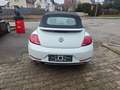 Volkswagen Beetle Design BMT,HU/AU &KD Neu Weiß - thumbnail 5