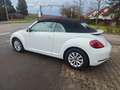 Volkswagen Beetle Design BMT,HU/AU &KD Neu Weiß - thumbnail 4