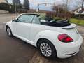 Volkswagen Beetle Design BMT,HU/AU &KD Neu Weiß - thumbnail 7