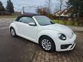 Volkswagen Beetle Design BMT,HU/AU &KD Neu Weiß - thumbnail 1