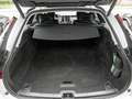 Volvo V90 Cross Country B5 AWD Plus ACC 360° AHK Weiß - thumbnail 27