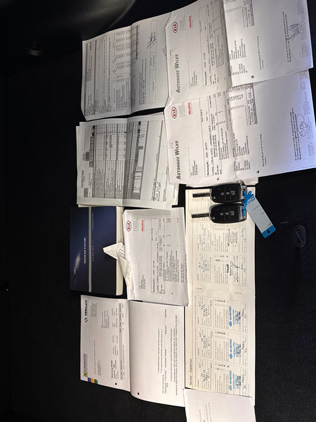 Kia Sportage 2015 / DynamicPlusLine / Camera / Navi / Cruise — photo 14