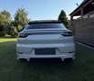 Porsche Cayenne III Platinum Edition Aut. - thumbnail 9