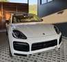 Porsche Cayenne III Platinum Edition Aut. - thumbnail 18