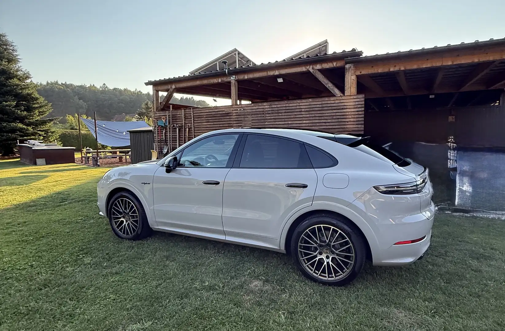 Porsche Cayenne III Platinum Edition Aut. - 2