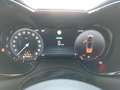 Alfa Romeo Tonale ALFA ROMEO TONALE Grau - thumbnail 15