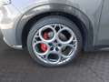 Alfa Romeo Tonale ALFA ROMEO TONALE Grau - thumbnail 14