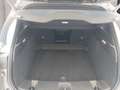 Alfa Romeo Tonale ALFA ROMEO TONALE Grau - thumbnail 12