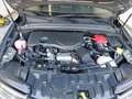 Alfa Romeo Tonale ALFA ROMEO TONALE Grau - thumbnail 20