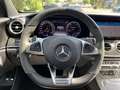 Mercedes-Benz E 43 AMG E43AMG 4MATIC Magno+Pano+AHK+Sitzklima+Burmester Grau - thumbnail 16