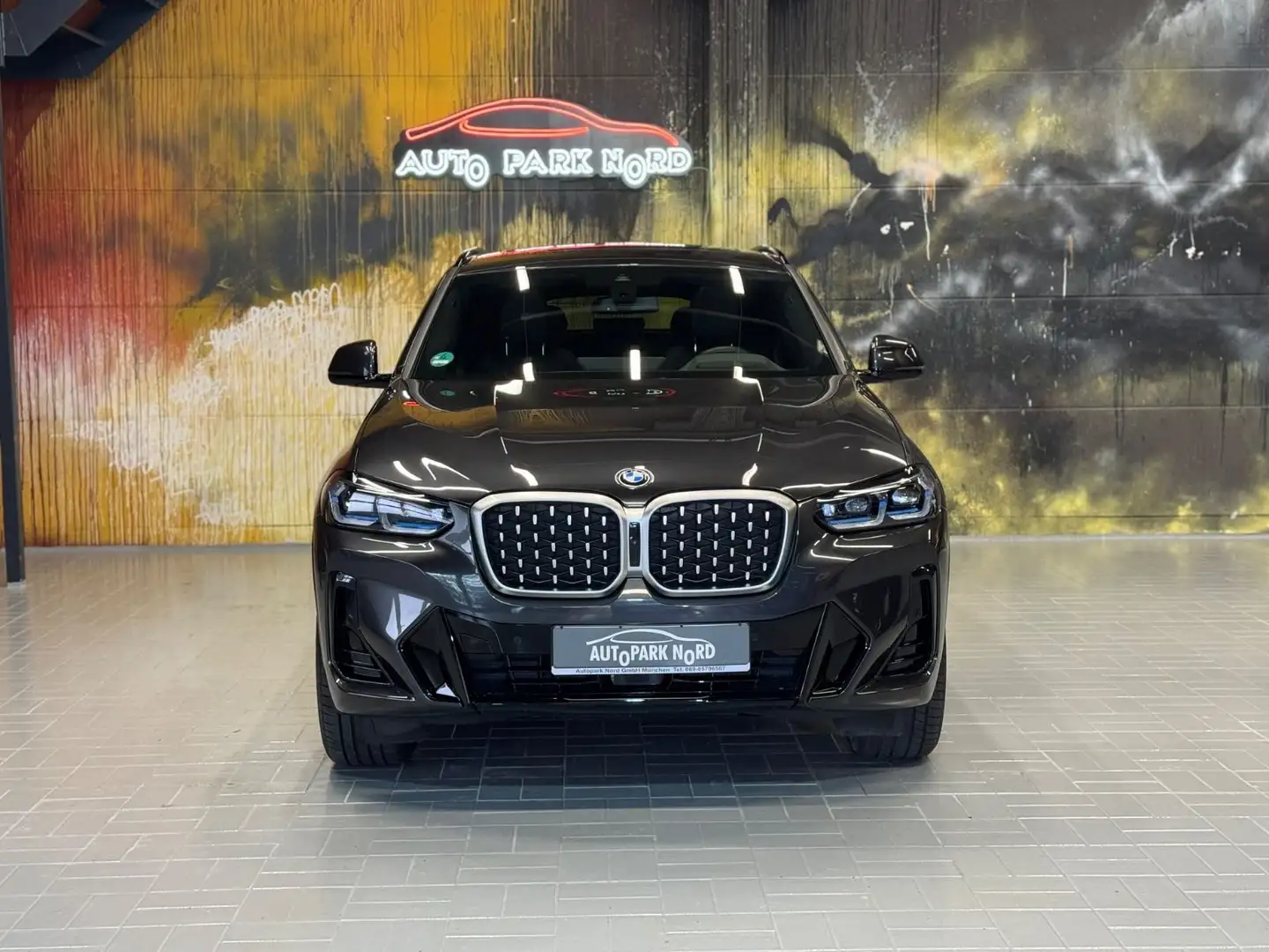 BMW X4 xDrive 30i M Sport LASER~HEADUP~KAMERA360~H&K Grau - 2
