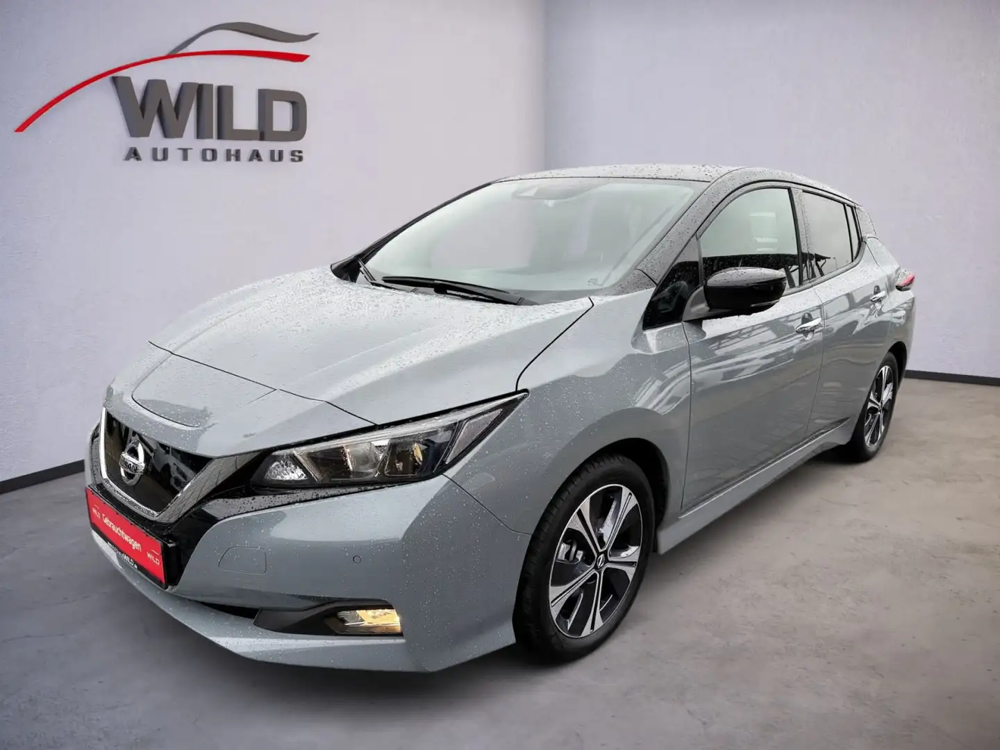 Nissan Leaf 40kWh LEAF10 PDC, Cam, Navi, i-Pedal Grau - 2