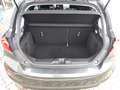 Ford Fiesta Titanium Grau - thumbnail 13
