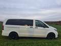 Mercedes-Benz Vito 119 CDI/BT 4MATIC lang (447.703) Weiß - thumbnail 4