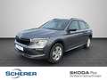 Skoda Kamiq Selection 1.0 TSI DSG KAMERA PACC Grau - thumbnail 1