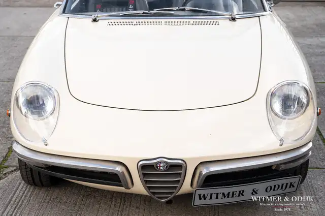 Alfa Romeo Spider view 19