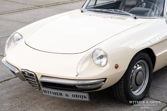 Alfa Romeo Spider view 17