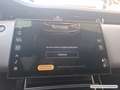 Land Rover Range Rover Evoque P270e Autobiography Grau - thumbnail 16