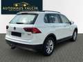 Volkswagen Tiguan 2.0*DSG*Kamera*AHK*4Motion*ACC*LED Weiß - thumbnail 5