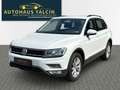 Volkswagen Tiguan 2.0*DSG*Kamera*AHK*4Motion*ACC*LED Weiß - thumbnail 3
