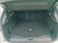 Opel Grandland 1.2 Mild-Hybrid Edition SHZ/LHZ/AHK Alb - thumbnail 19